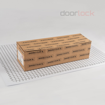 Доводчик DOORLOCK 100
